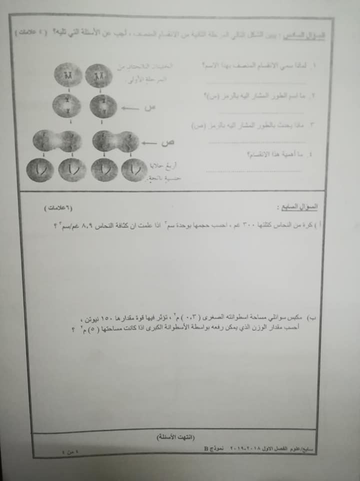 نموذج B وكالة اختبار العلوم النهائي للصف السابع الفصل الاول 2018