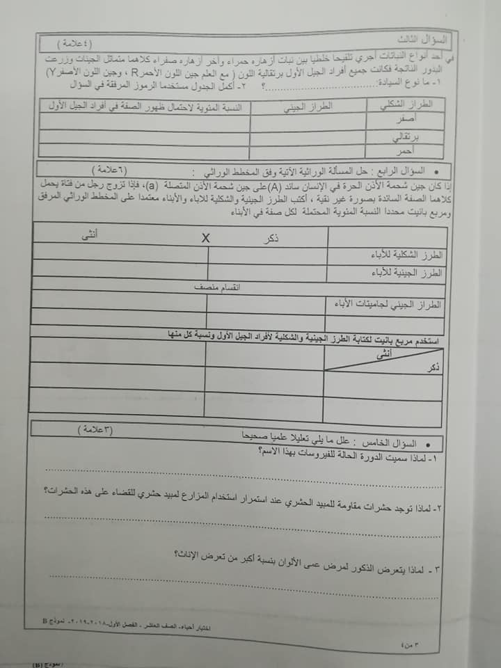 MTk5Njcx23%20%D9%86%D9%85%D9%88%D8%B0%D8%AC%20B%20%D9%88%D9%83%D8%A7%D9%84%D8%A9%20%D8%A7%D8%AE%D8%AA%D8%A8%D8%A7%D8%B1%20%D8%A7%D9%84%D8%A7%D8%AD%D9%8A%D8%A7%D8%A1%20%D8%A7%D9%84%D9%86%D9%87%D8%A7%D8%A6%D9%8A%20%D9%84%D9%84%D8%B5%D9%81%20%D8%A7%D9%84%D8%B9%D8%A7%D8%B4%D8%B1%20%D8%A7%D9%84%D9%81%D8%B5%D9%84%20%D8%A7%D9%84%D8%A7%D9%88%D9%84%202018