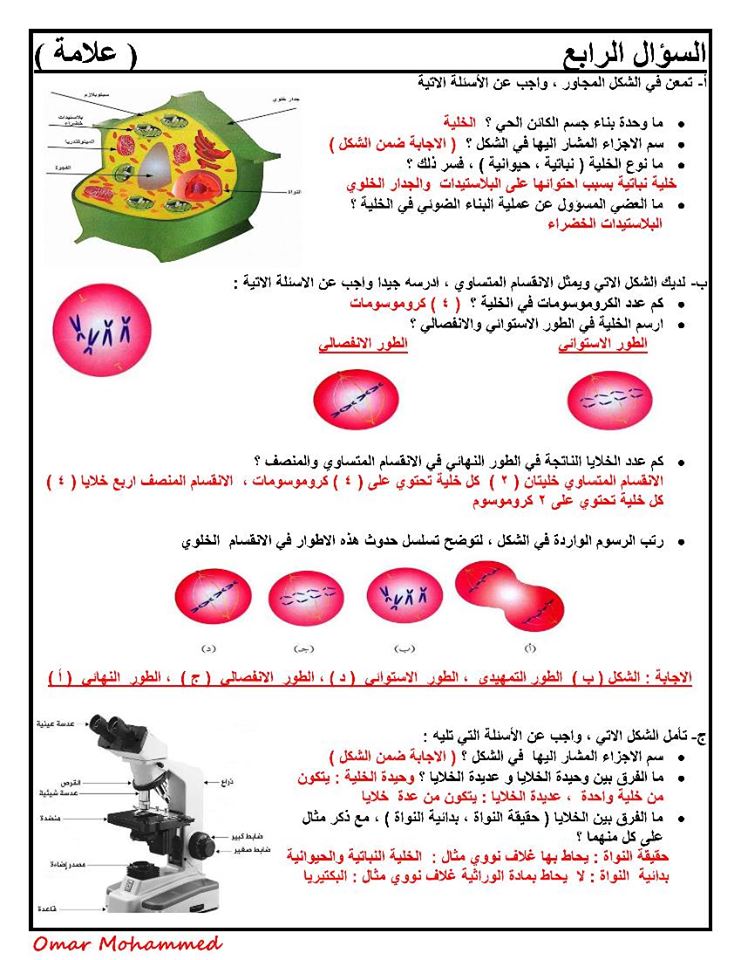 NDQ3OTE1MQ5454%D8%A7%D8%AE%D8%AA%D8%A8%D8%A7%D8%B1%20%D8%A7%D9%84%D8%B4%D9%87%D8%B1%20%D8%A7%D9%84%D8%A7%D9%88%D9%84%20%D9%84%D9%85%D8%A7%D8%AF%D8%A9%20%D8%A7%D9%84%D8%B9%D9%84%D9%88%D9%85%20%D9%84%D9%84%D8%B5%D9%81%20%D8%A7%D9%84%D8%B3%D8%A7%D8%A8%D8%B9%20%D8%A7%D9%84%D9%81%D8%B5%D9%84%20%D8%A7%D9%84%D8%A7%D9%88%D9%84%202019%20%D9%85%D8%B9%20%D8%A7%D9%84%D8%A7%D8%AC%D8%A7%D8%A8%D8%A7%D8%AA5