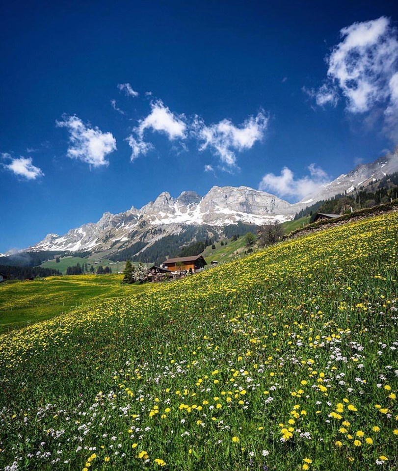 صور جمال الطبيعة في الريف السويسري